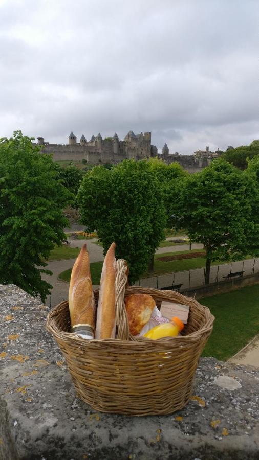 Chez Mamita : Appartement Dans Quartier Calme. Carcassonne Dış mekan fotoğraf