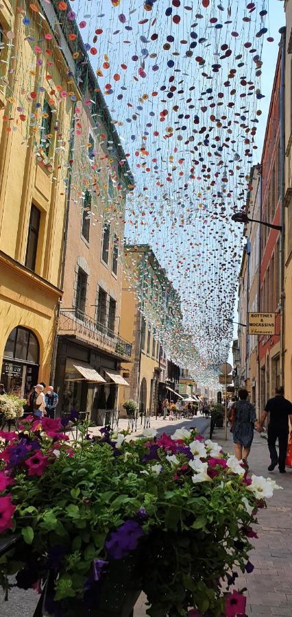Chez Mamita : Appartement Dans Quartier Calme. Carcassonne Dış mekan fotoğraf